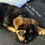 Nathaniel Meeks - @nathaniel.meeks.58 - Instagram