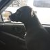 Nathaniel Meeks - Facebook