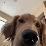 nathaniel meier - @nathambrose15 - Instagram