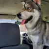 Nathaniel Merrick - @nathaniel.merrick3 - TikTok