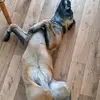 nathanielmesserv8 - @nathanielmesserv8 - TikTok