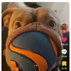 Nathaniel - @nathanielmolnar - TikTok