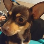 Nathaniel Morehead - Facebook