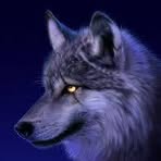 Nathaniel Mower - Facebook