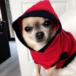 Nathaniel Oakes - @nathaniel.oakes.58 - Instagram