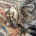 Nathaniel Obrien - Facebook