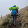 nathaniel.oneal - @nathaniel.oneal - TikTok