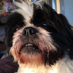 Oswald Nathaniel Van Burenberg - @oswald_nathaniel_says - Instagram