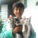 Pearce Nathaniel - @pearcenathaniel73 - Instagram