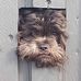 Nathaniel Pedersen - Facebook
