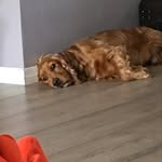 Nathanielpedersendejong - @nathanielpedersendejong - Instagram