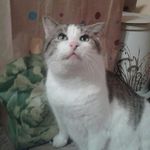 nathaniel Pfeifer - @natty1606 - Instagram