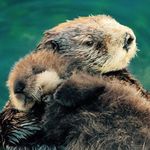Nathaniel Quinlan - @nate02bme - Instagram
