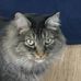 Nathaniel Ring - Facebook