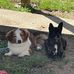 Nathaniel Robbins - Facebook