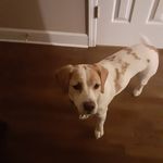 Nathaniel Schuler - @n_a_t_h_a_n_2_3 - Instagram