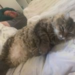Nathaniel Simpson - @nathanielsimpson156 - Instagram