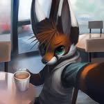 Nathaniel Soto - @the_furry_fox157 - Instagram