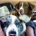 Nathaniel Starnes - Facebook