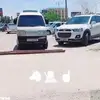 Nathaniel Stokes - @nathaniel.stokes - TikTok
