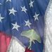 Nathaniel Stout - Facebook