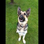 Nathaniel Stowell - @stowellnathaniel - Instagram