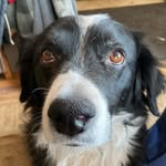 Nathaniel Urban - @ggergu - Instagram