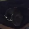 Nate - @nathaniel.varner - TikTok