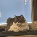Nathaniel Wheaton - @wheatonnathaniel - Instagram