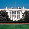 Whitehouse unofficial - @whitehouseunofficial - TikTok