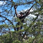 Nathaniel Wolfe - @wolf_hunter04 - Instagram