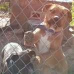 Nathaniel Wyche - Facebook