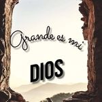 Natividad Cepeda - @natividadcepeda - Instagram