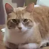 natividadortiz447 - @natividadortiz447 - TikTok