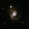 Naushad Mohammed - @naushad.mohammed5 - TikTok