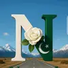 Naveed Alam - @naveedalam402 - TikTok