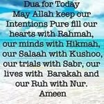 Naveed Asif - @naveedasif7809 - Instagram