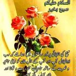 Naveed Cheema - @naveed.cheema.73744 - Instagram