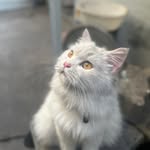 Naveed - @naveedpatel.30 - Instagram
