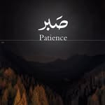 Naveed Patel - @naveed_patel_ - Instagram