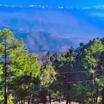 Naveed Raza - @naveedraza022 - Instagram