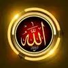 shah - @naveedshah02hhg - TikTok