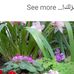 Naveed Ullah - Facebook