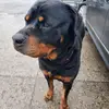 Navi Samra - @navi.samra7 - TikTok