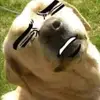 samranavi5 - @samranavi5 - TikTok