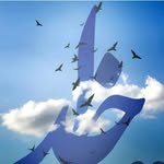 Navid Nayebi - @nayebi_navid - Instagram