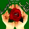 navidsarwar6 - @navidsarwar6 - TikTok