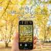 Sarwari Navid - @sarwari.navid - TikTok