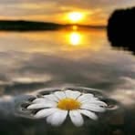 Nevin Erek - Facebook