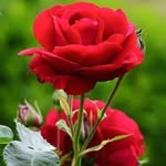 Navin Poddar - @navinpoddar57 - Instagram